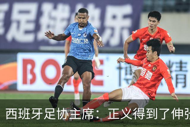 西班牙足协主席：正义得到了伸张，今天是西班牙的伟大日子
