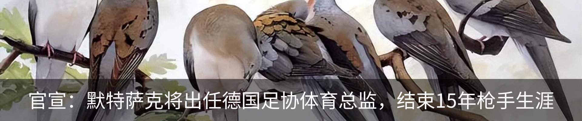 行业资讯