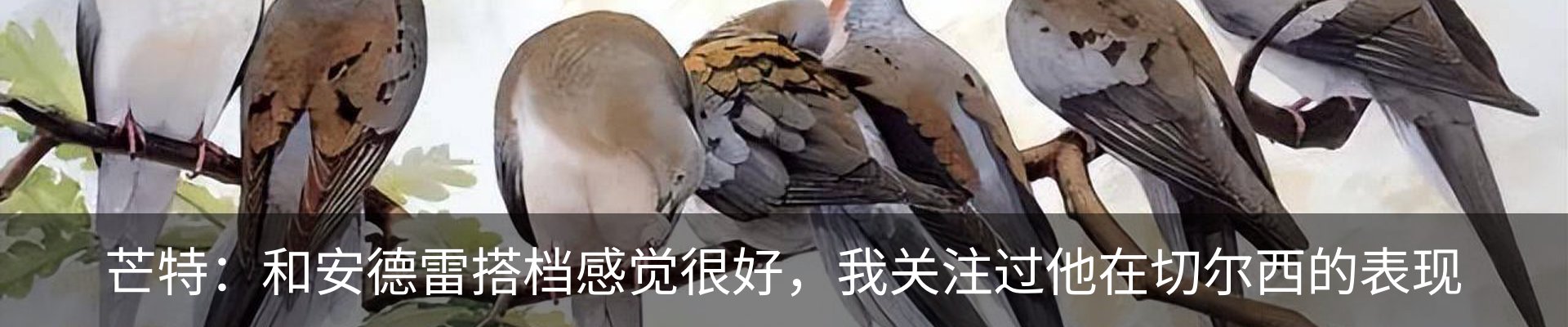 行业资讯