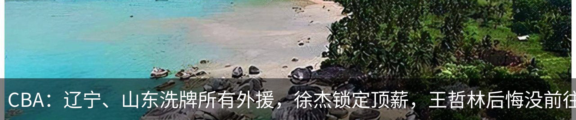 行业资讯